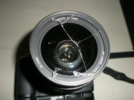 DL-3.jpg