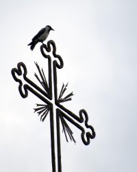 MagpieOnCross_1200mm.jpg