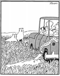 Farside12.png