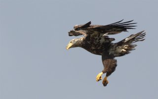 5D3_3104 (Large).JPG