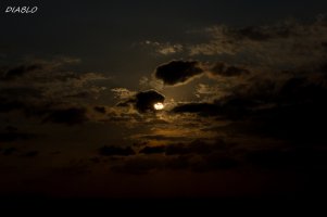 IMG_0017 (2000x1333).jpg