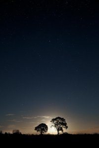 Moonrise over Holme Moor 2.jpg