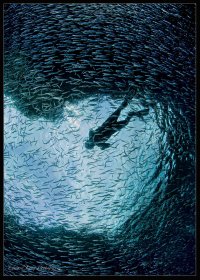 Blue Hole Silhouette.jpg