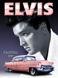 Elvis & Pink Cadillac.jpg