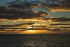 West Auckland Sunset.JPG