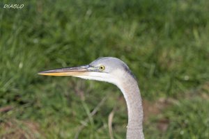 IMG_0391 (4000x2667).jpg