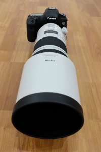 300mm f2.8 IS II - 2.JPG