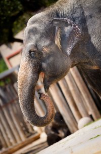 zoo-1.jpg
