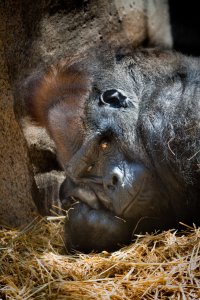 zoo-2.jpg