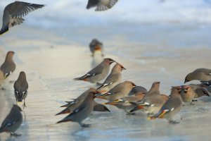 Where's the Party_0157.JPG