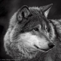 _D7T3144-6.jpg