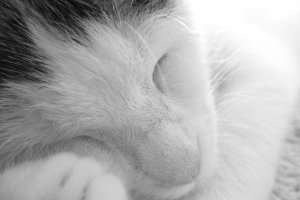2013_11_23_0097.JPG
