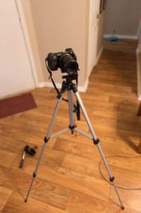 IMG_3106.jpg