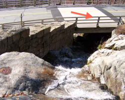 Flume Guard Rail.png