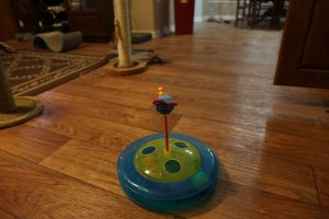 IMG_3112.JPG