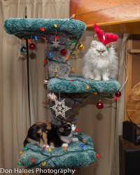 IMG_1357.jpg