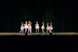 5D III + 70-200 f2.8 IS II , 8000ISO, Outer AF point.jpg