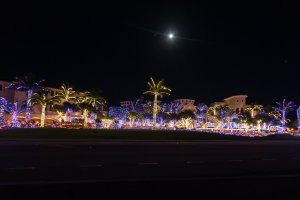 IMG_0047.jpg