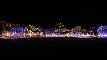 IMG_0050.jpg