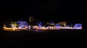 IMG_0052.jpg