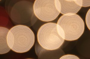 24-70II Onion Ring 100.JPG