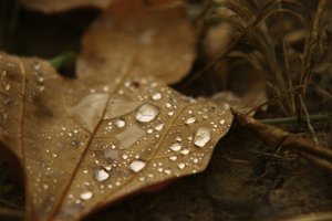 IMG_6397.jpg