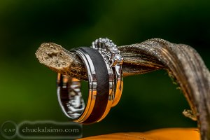 IMG_1584.jpg