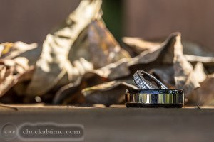IMG_9865.jpg