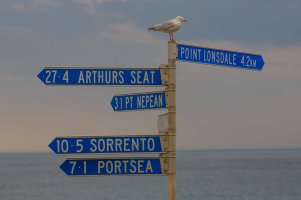 Queenscliff, Vic, Australia-1-2.jpg