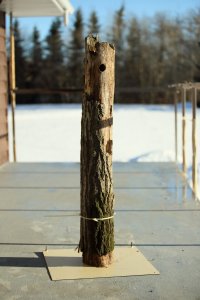 Deck addition_1084.JPG