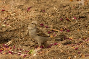 _MG_2739_edited-1.jpg