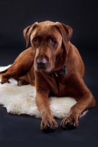 _MG_7033-Bearbeitet Kopie.jpg