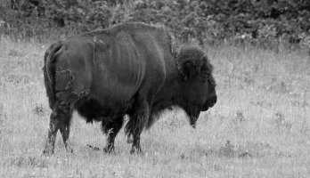 _MG_5174 - Version 2.jpg