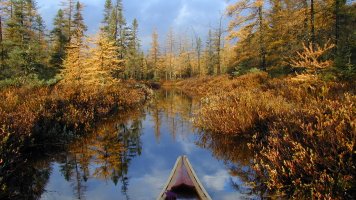 Algonquin01.JPG