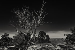 Midnight Morning--2.JPG