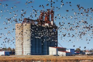 IMG_4797 copy-1_edited-3.jpg