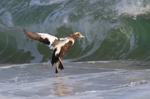 IMG_4668.jpg