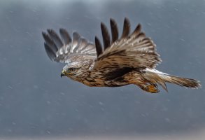untitled-1-5.JPG