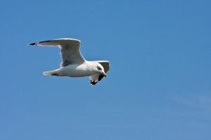 IMG_4264 rs.jpg