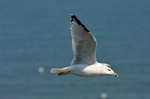 IMG_4248 rs.jpg