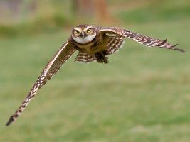 July 18, 2010_1d_0012-Edit.jpg