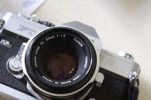 IMG_7519_r.jpg