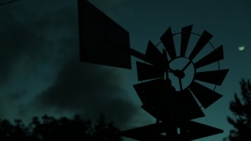 Sunset Grainy.jpg