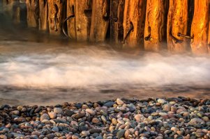 IMG_7272 pnhnz rs.jpg