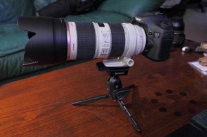 IMG_3679r.JPG