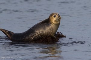 IMG_3708.jpg