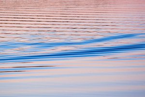 130803_peacefuldusk_70310.jpg