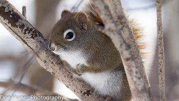 IMG_2869.jpg