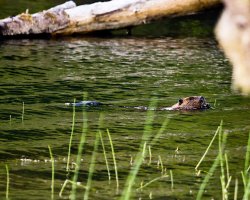 IMG_7431.jpg