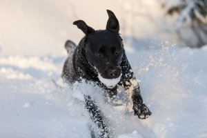 IMG_1004.jpg